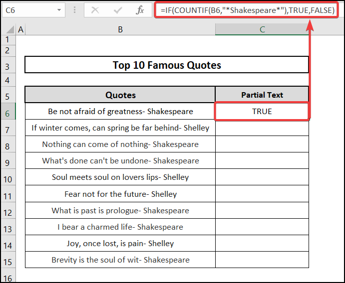 How to Check If Column Contains Partial Text in Excel using the IF and COUNTIF functions