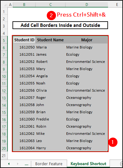Cells selected to insert cell borders using keyboard shortcut 