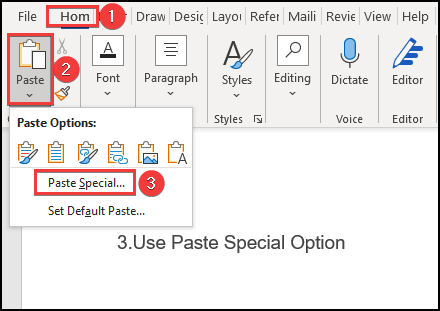 Use of the Paste Special option to paste the copied data into Word. 