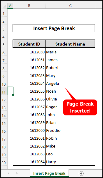 Page break is inserted in the worksheet