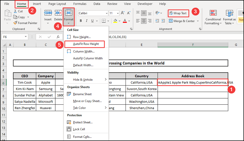 wrap text and autofit to put carriage return