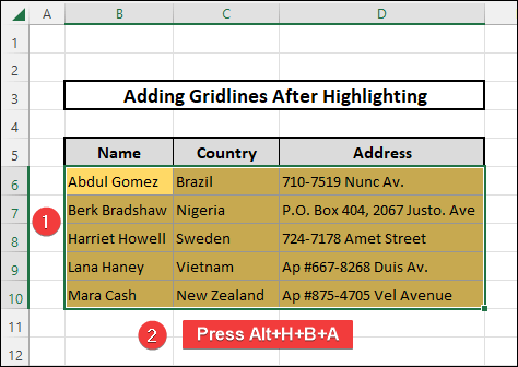 Using the shortcut key to add gridlines after highlighting cells