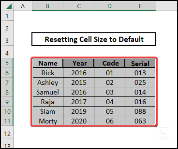 Formatted the row height and column width for selected cells to default size